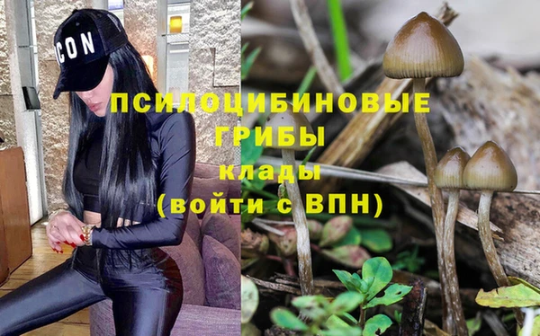 гидропоника Алексеевка