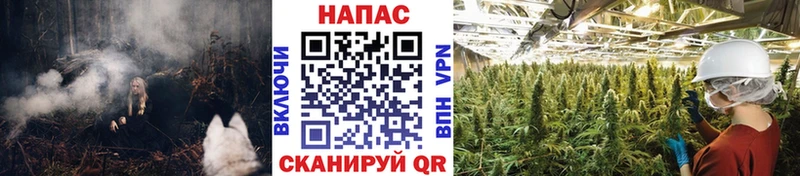 Конопля планчик  нарко площадка телеграм  Пыталово 